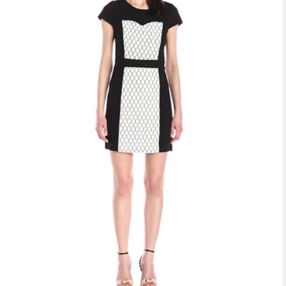 Kensie Paneled Dress🎀